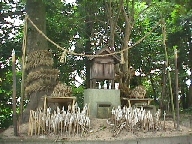 Small shrine at Iya Jinja with many goheis, as if welcoming many deities.