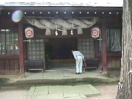 Worshipper bowing at the main Kamosu Jinja shrine.
