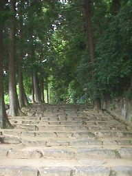 The approach stairway to the Kamosu Jinja shrine.