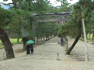 The first torii leading to Izumo-Taisha.